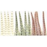 Wapsi Wapsi Dry Fly Neck Hackle Mini Pack Large