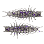 Great Lakes Finesse Juicy Hellgrammite 2.4" 8-pk