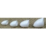 Wapsi Wapsi Hard Foam TCS Poppers