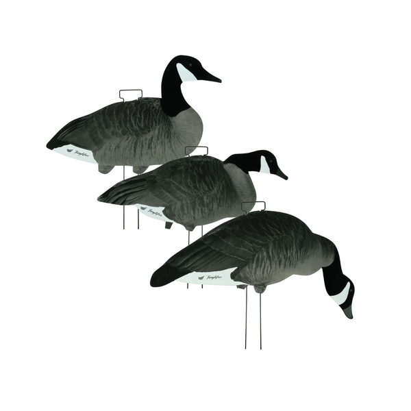 Tanglefree Fully Flocked Canada Skinny 12 Pack // 8 Feeders, 2 Uprights, 2 Walkers.