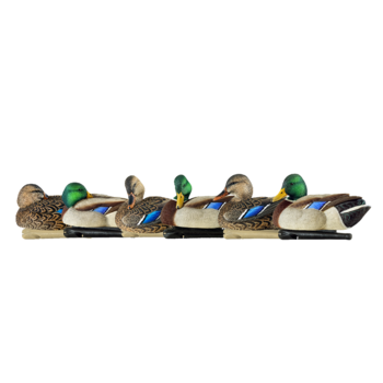 Topflight Mallards Sleeper-Preener Pack