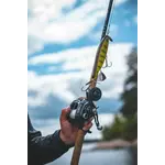 Daiwa 24 Lexa HD 500 HL-P  Left Hand 7.1:1 Baitcasting Reel