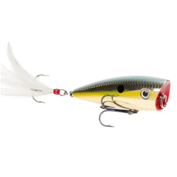 Strike King HC KVD Splash Popper 3" Gold Sexy Shad