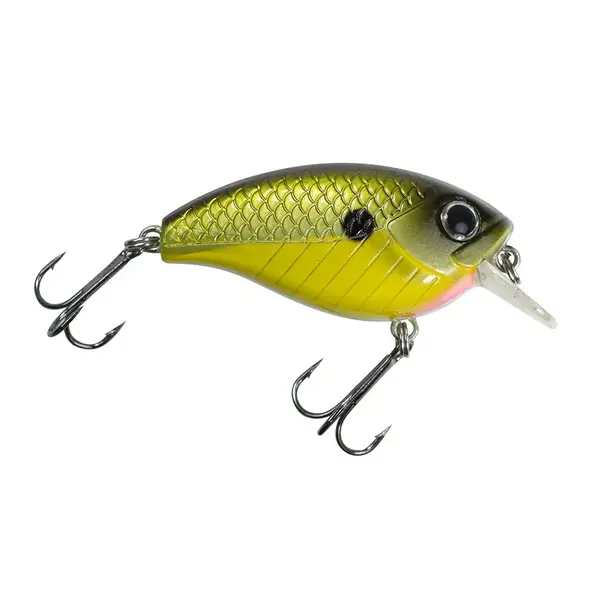 Lunkerhunt Impact Shock 2.5F Squarebill