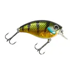 Lunkerhunt Impact Shock 2.5F Squarebill