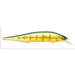 Megabass Ito Shiner GG Perch