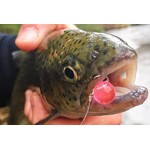 Pautzke Bait Co. FireBalls Pink Shrimp 1.5oz