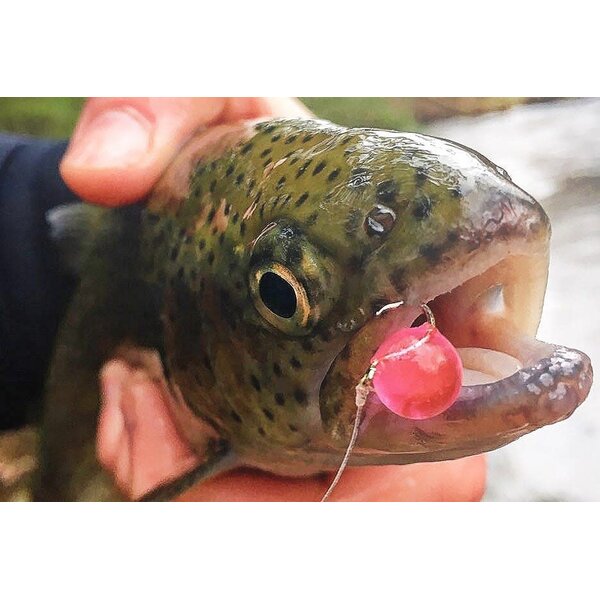 Pautzke Bait Co. FireBalls Pink Shrimp 1.5oz