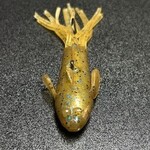 Outdoor Junkys  Thingamajig 2.75"