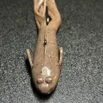 Outdoor Junkys  Thingamajig 2.75"