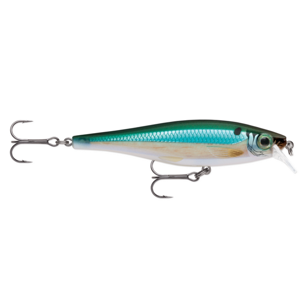 Rapala BX Minnow 10