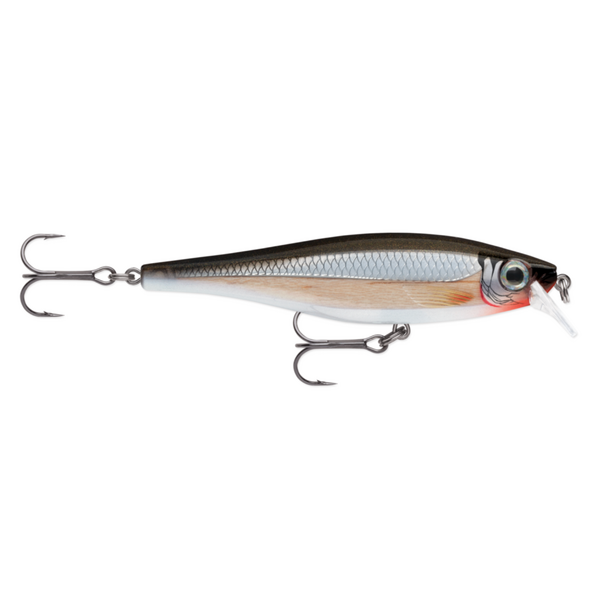 Rapala BX Minnow 10