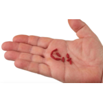 Berkley  Gulp® Waxies