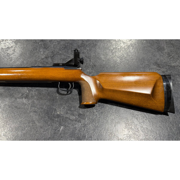 Anschutz Model 190 22 LR  Target w/Aperture Sights