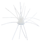 X Zone  GBO 13mm Salted (4 Pack)