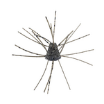 X Zone  GBO 13mm Salted (4 Pack)