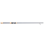 Pflueger President XT Spinning Rod