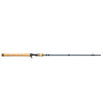 Pflueger President Casting Rod