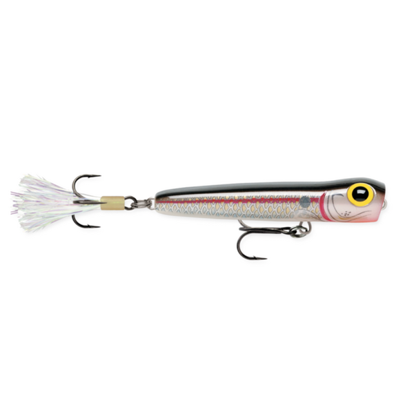 Storm Rattlin' Chug Bug 08