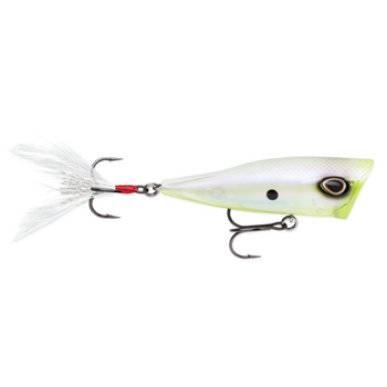 Storm Arashi Cover Pop