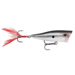 Storm Arashi Cover Pop