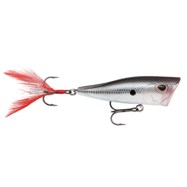 Storm Arashi Cover Pop