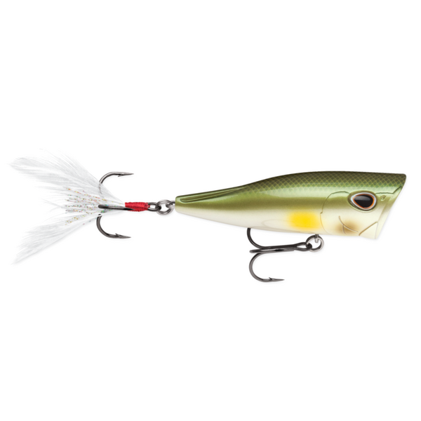 Storm Arashi Cover Pop