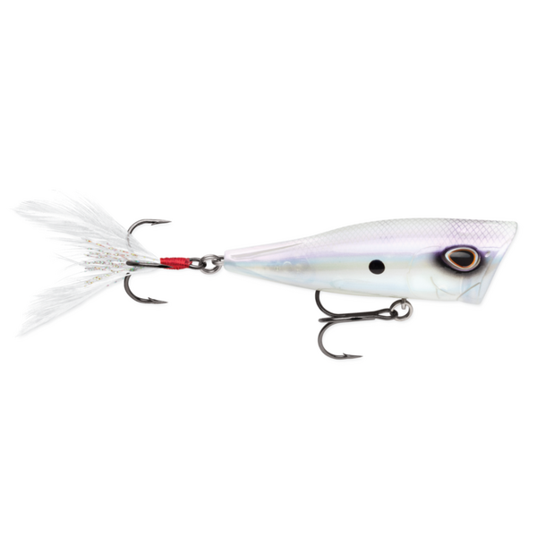 Storm Arashi Cover Pop