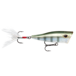 Storm Arashi Cover Pop