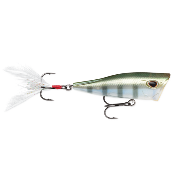 Storm Arashi Cover Pop