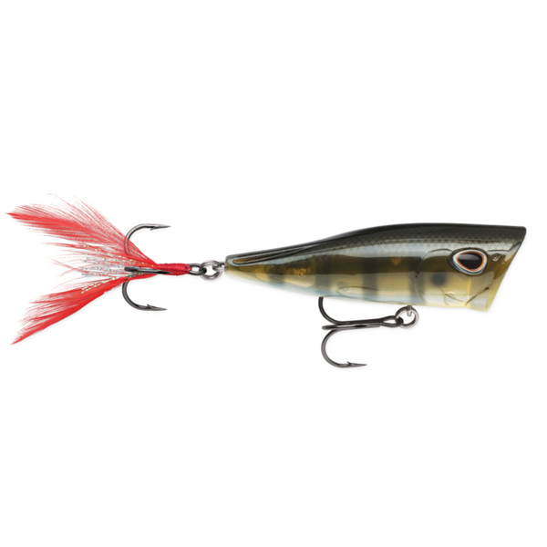 Storm Arashi Cover Pop