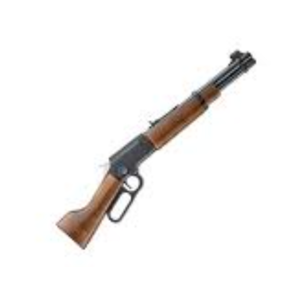 Chiappa LA322 Bandit 22Lr 12"TD Black Wood Stock