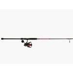 Penn Fierce Spinning Combo