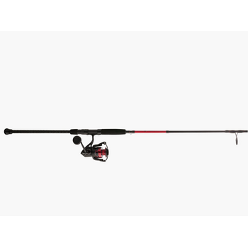 Penn Fierce Spinning Combo