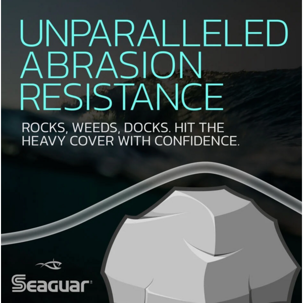 Seaguar  Red Label Fluorocarbon 200yds