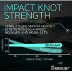 Seaguar Blue Label Fluorocarbon 25yds