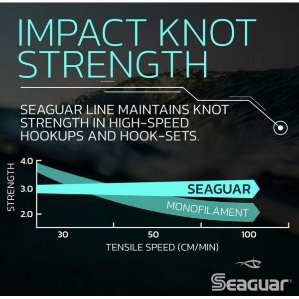 Seaguar Blue Label Fluorocarbon 25yds
