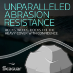 Seaguar STS Salmon Fluorocarbon 100yds