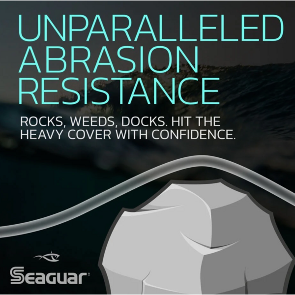 Seaguar STS Salmon Fluorocarbon 100yds