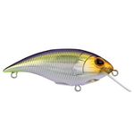 Berkley Shallow Money Badger 5