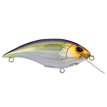 Berkley Shallow Money Badger 5