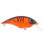 Berkley Shallow Money Badger 5