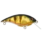 Berkley Shallow Money Badger 5