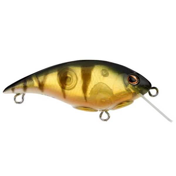 Berkley Shallow Money Badger 5