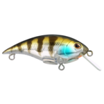 Berkley Shallow Money Badger 5