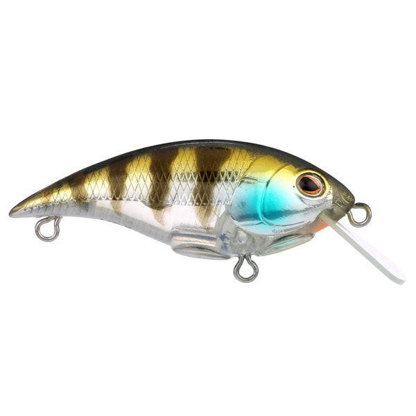 Berkley Shallow Money Badger 5