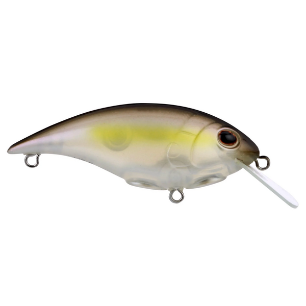Berkley Shallow Money Badger 5
