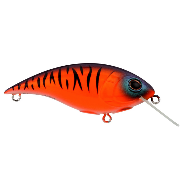 Berkley Shallow Money Badger 6.75