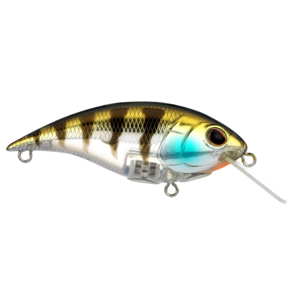 Berkley Shallow Money Badger 6.75