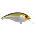 Berkley Shallow Money Badger 6.75